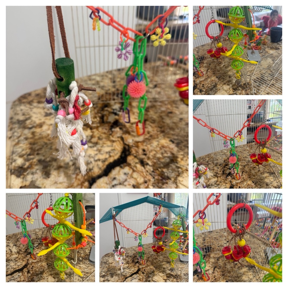 Vibrant Hanging Bird Toy Set with Rope and Beads